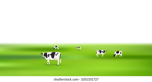 Cow ranch landscape background