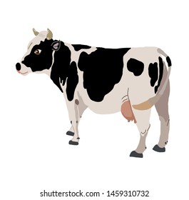 Cow realistic farm animal vector illustration