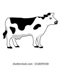 Cow realistic farm animal vector illustration design.