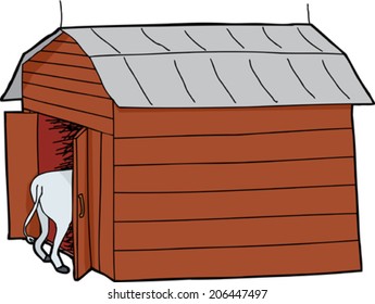 Cow rear end and wooden barn with tin roof