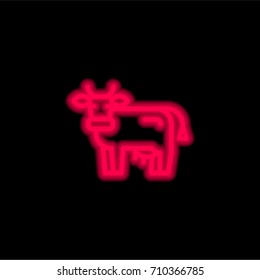 Cow red glowing neon ui ux icon. Glowing sign logo vector