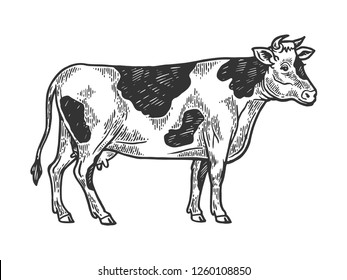 4,742 Cow scratching Images, Stock Photos & Vectors | Shutterstock