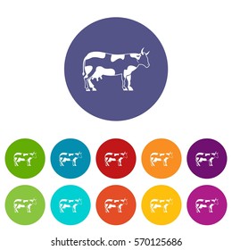 Cow set icons in different colors isolated on white background
