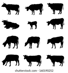 Cow set. Livestock silhouettes. Farm animal sign collection.