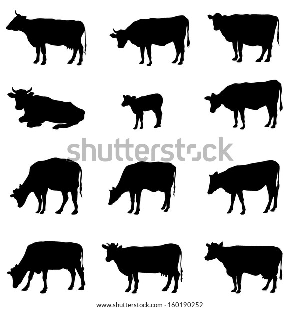 Cow Set Livestock Silhouettes Farm Animal Stock Vector (Royalty Free ...