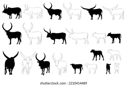 El conjunto de vacas. Silueta de vaca blanco negro aislado ilustración vectorial a mano dibujada.Siluetas vectoriales de vacas, diferentes poses, color negro aislado en fondo blanco