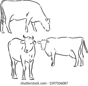 Cow Set Vector Sketch Illustration Stock Vector (Royalty Free ...