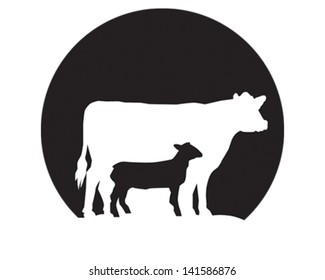 Cow & Sheep