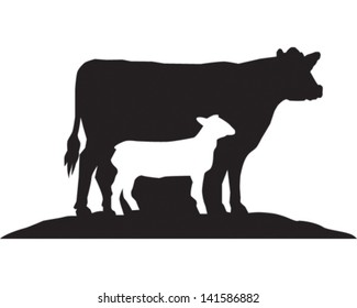 Cow & Sheep