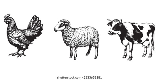 Cow, sheep and chicken, farm domestic animals. Hand drawn engraving style vector illustration. Hand drawn engraving style vector illustration.