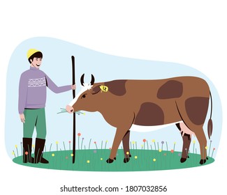 A cow with a shepherd are in the pasture. The cow chews the grass. Big horned cattle. In the summertime, cows are walked in a field with lush grass. Flat vector illustration.