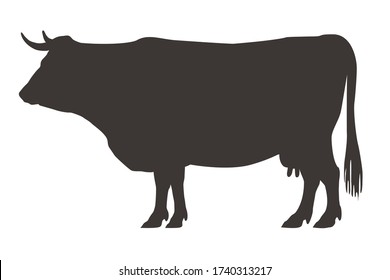 Cow, side view. Hand drawn silhouette on separated white background.