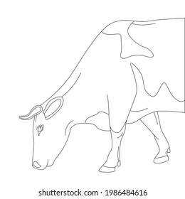 cow side view, vector illustration,  lining draw