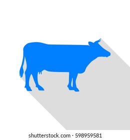Cow sign illustration. Vector. Azure icon with flat style shadow path on white background.