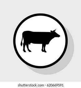 Cow sign illustration. Vector. Flat black icon in white circle with shadow at gray background.