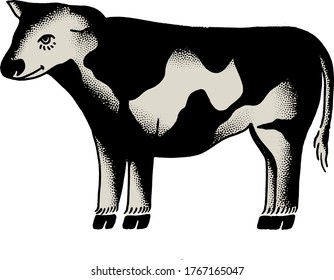 a cow is silently looking around