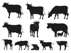 Cow Silhouette. Black Cows And Calf Mammal Animals. Pictogram. Farm Livestock Cow Pictogram Or Countryside Domestic Milk Cows, Calf And Bulls. Isolated Vector Icons Set