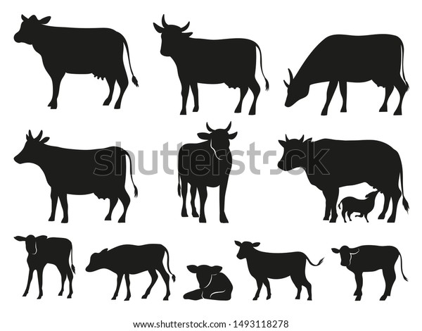 牛のシルエット 黒い牛と子牛の哺乳動物 絵文字家畜牛の絵文字や 田舎の家畜牛 子牛 雄牛 分離型ベクター画像アイコンセット のベクター画像素材 ロイヤリティフリー