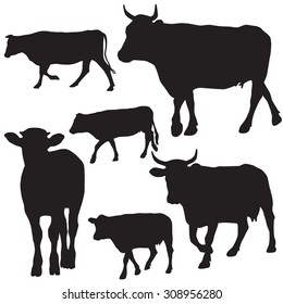 cow silhouette collection - vector