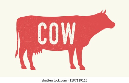 Cow. Cow silhouette with grunge texture. Vintage poster. Typography. Vector illustration.