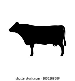 Cow silhouette icon. The Best Beef Cattle Breeds. Farm animals. Vector Illustration.
