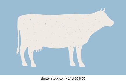 Cow silhouette. Cow icon isolated on blue background. Graphic design for meat shop, grocery, farmers market. Vintage typography. Vector Illustration