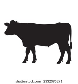 cow silhouette isolated on white