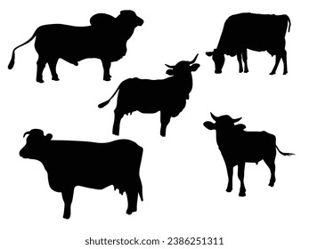 Cow silhouette on white background