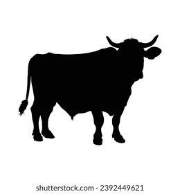 Cow Silhouette on White Canvas.