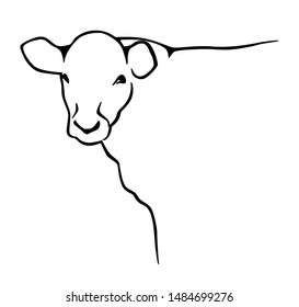 Cow silhouette outline sketch. Line art black and white vector illustration.