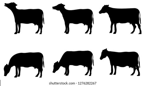 Cow Silhouette Set