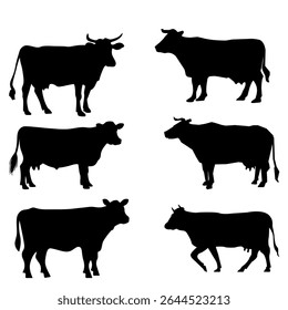 "Conjunto de silhueta de vaca com uma variedade de poses de vaca, incluindo em pé, pastando, andando e deitado. Cada silhueta é trabalhada em preto sólido com um fundo transparente, ideal para uso em fa