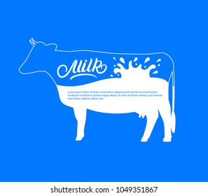 Cow silhouette with splash, drops milk. Milk hand written lettering text. Use for poster, print, product design, advertising, packaging. Vector illustration.