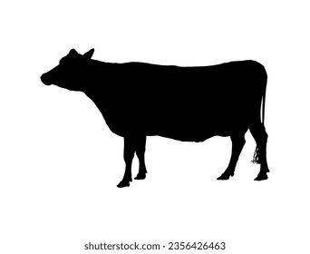 Cow silhouette vector art white background