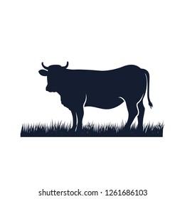 cow silhouette vector icon. black angus vector illustration. cow farm logo design
