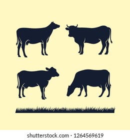 cow silhouette vector icon. black angus vector illustration. cow farm logo design