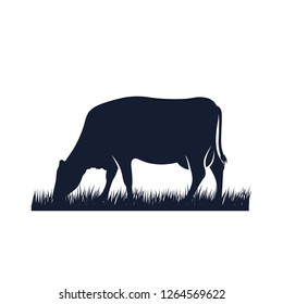 cow silhouette vector icon. black angus vector illustration. cow farm logo design