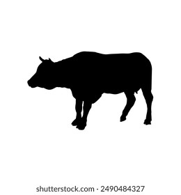 Silueta de vaca - Ilustración vectorial
