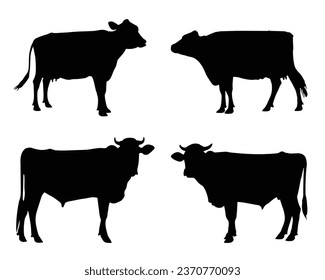 Cow Silhouette. Cow Vector Illustration. Cow Artwork.