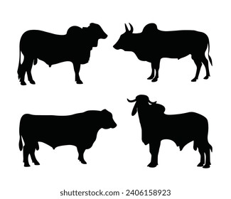 Cow silhouette. Cow vector illustration. Black cow and domestic milk cows. Farm animals isolated vector icons set.