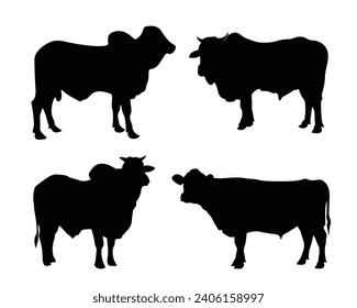Cow silhouette. Cow vector illustration. Black cow and domestic milk cows. Farm animals isolated vector icons set.