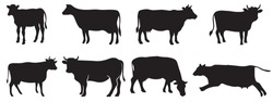 Cow Silhouette  Vector Illustration Collection.