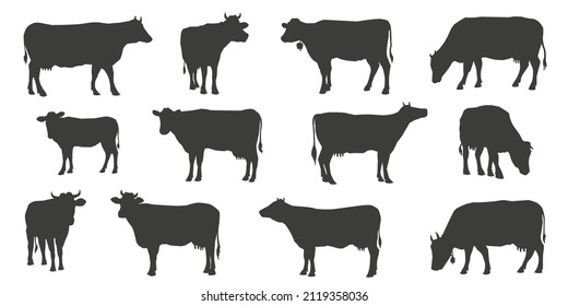 cow silhouettes 2022 on the white background