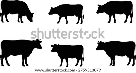 Cow silhouettes collection, grazing cattle, standing cow, sitting cow, farm animals, livestock illustration, rural agriculture design, black shapes, animal posture study