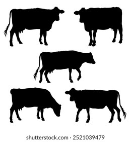 Silhuetas de vaca em diferentes poses. Gado leiteiro. Animais de criação. Ilustração de vetor isolada em um plano de fundo branco