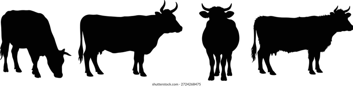 Cow silhouettes in grazing, standing, forward-facing poses, black livestock vector illustration, farm animal shapes, agriculture design elements