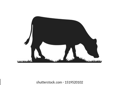 Cow silhouettes on grass. Cow grazing on meadow vector cartoon illustration.