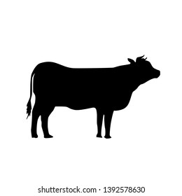 Cow Silhoutte Logo Vector Illustration Stock Vector (Royalty Free ...