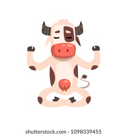 Cow Sitting In Lotus Pose, Funny Farm Animal Cartoon Character Practicing Yoga Vector Illustration On A White Background