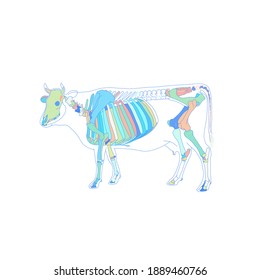 Cow Skeleton, zoology cartoon vector in random pastel color